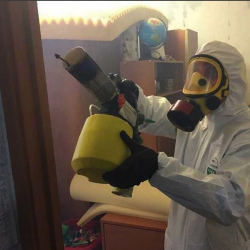 Уничтожение клопов в квартире. Ставрополь